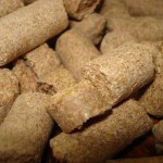 pellet de girasol 2