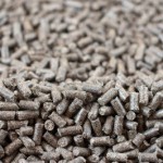 pellet de girasol 3