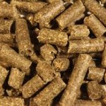 pellet de girasol