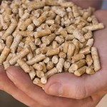 pellet de soja 3