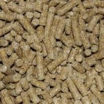 pellet de trigo 2