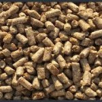 pellet de trigo.